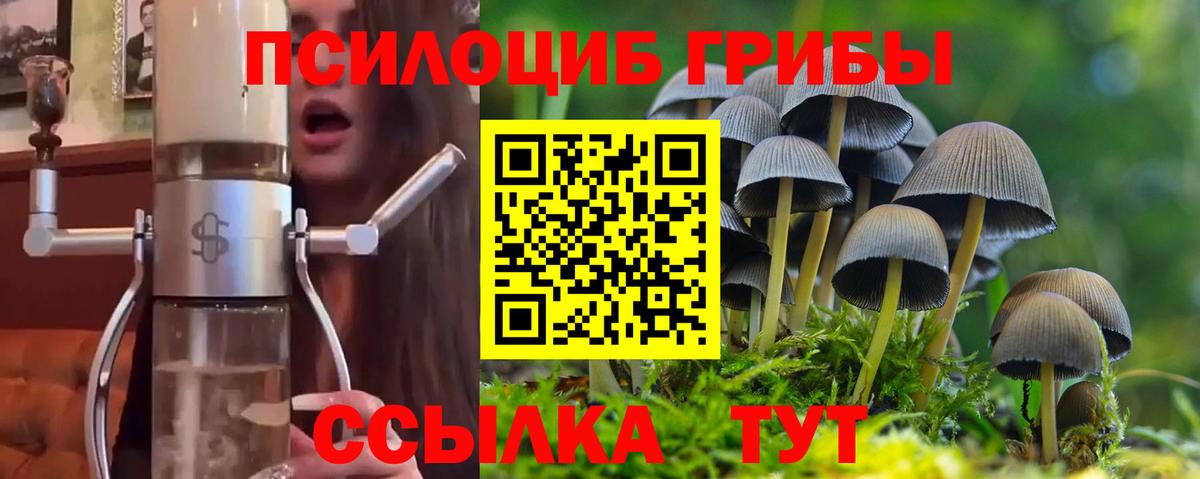 Галлюциногенные грибы мухоморы  Вход с VPN  купить закладку  Котлас 